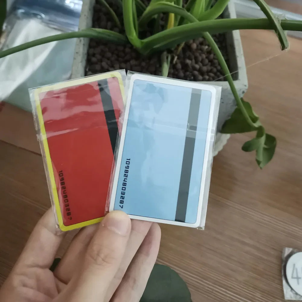 Licença de Caçador Hunter X Hunter