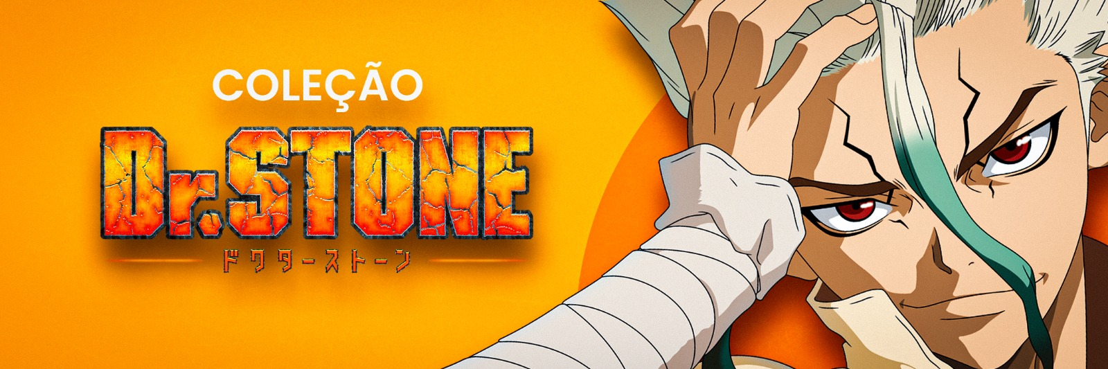 Dr. Stone